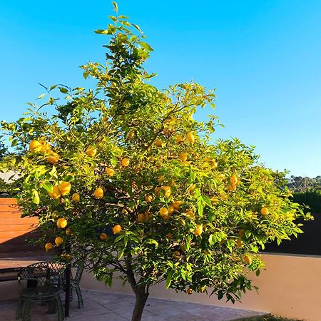 Adosado Con Jardin En Los Xalets De Salou Luaran gambar